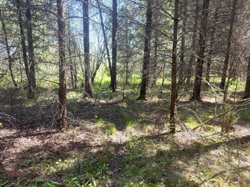 TBD-20AC Sleepy Hollow Road, Brainerd, MN 56401