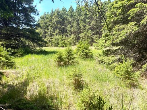 TBD-20AC Sleepy Hollow Road, Brainerd, MN 56401