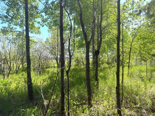 TBD-20AC Sleepy Hollow Road, Brainerd, MN 56401
