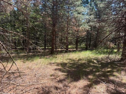 TBD-20AC Sleepy Hollow Road, Brainerd, MN 56401