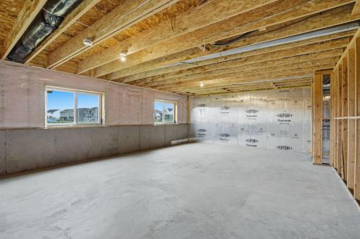 Unifinished Lower Level