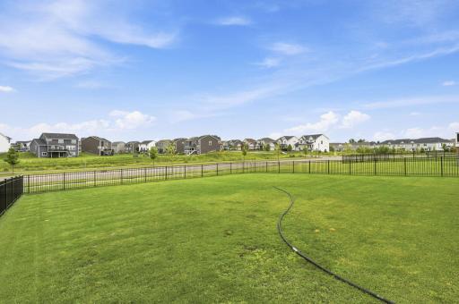 Incredible Fenced in Backyard