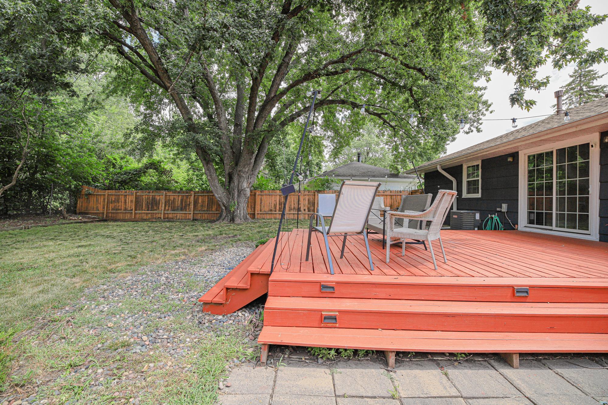 Back-Yard-2.jpg
