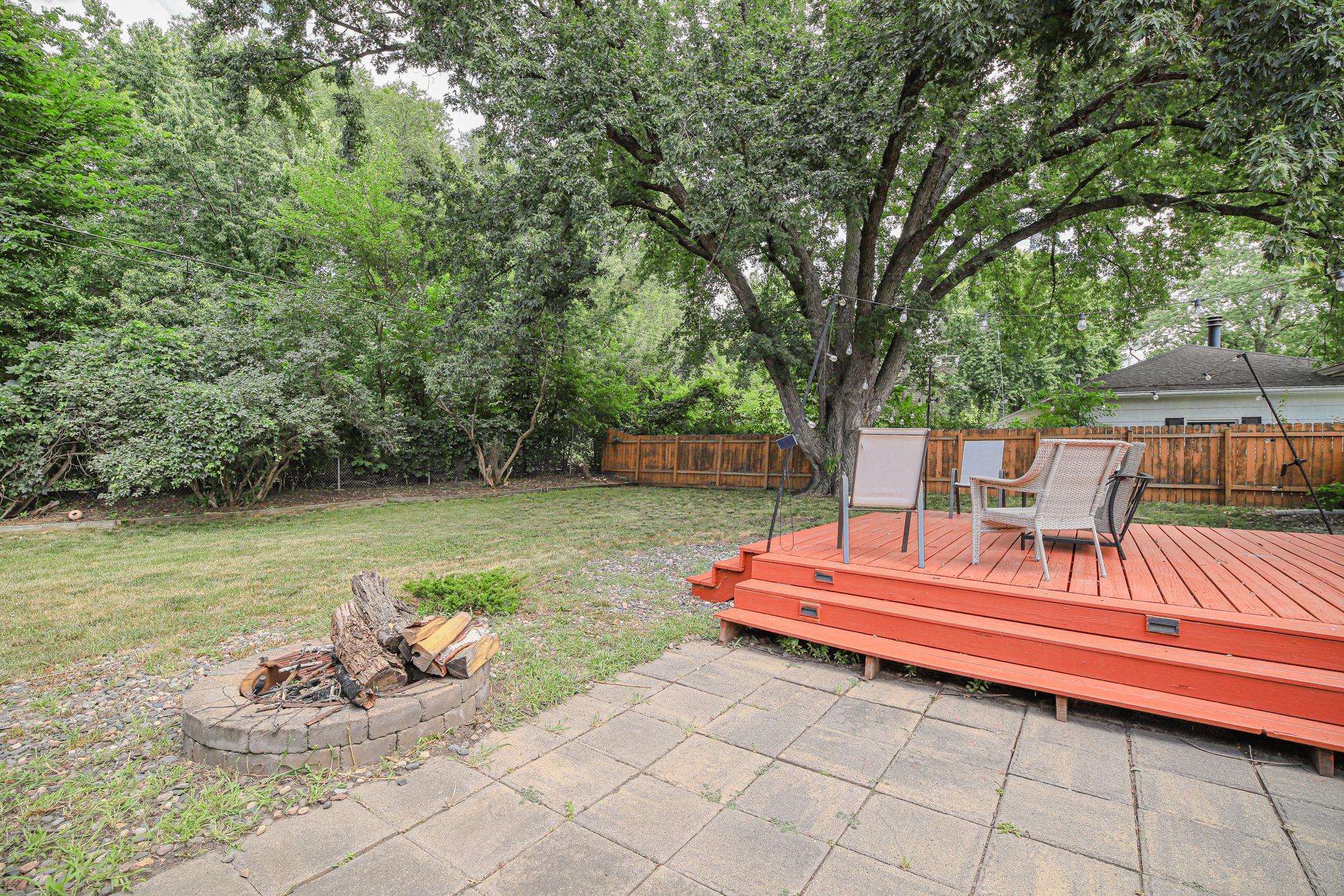 Back-Yard.jpg