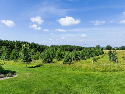 5490 College View Road E, Rochester, MN 55904