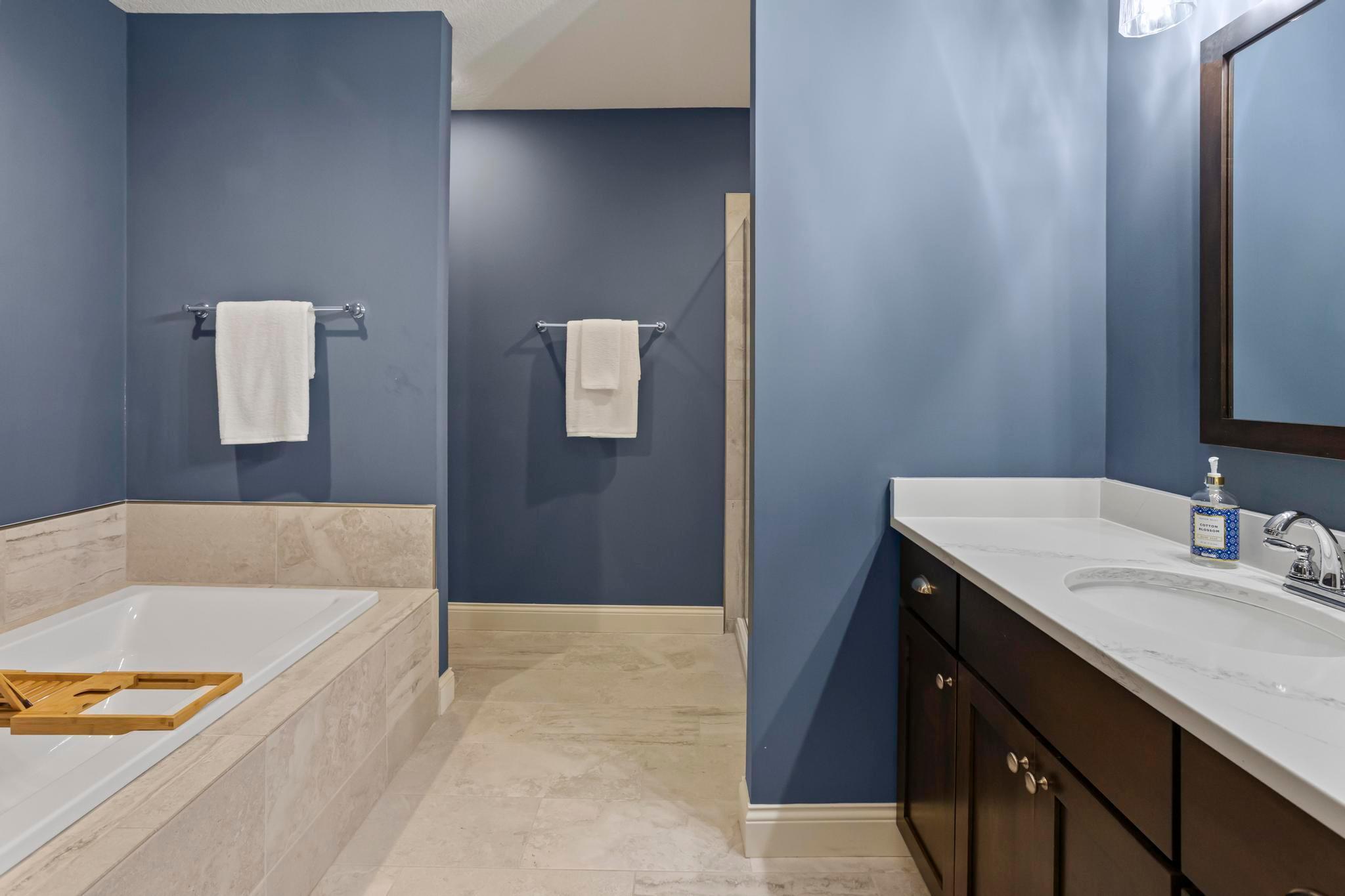 Lower-Level Luxury Spa Bathroom