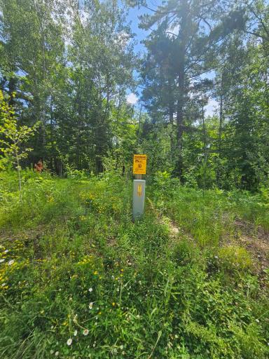TBD Cedar Shores Drive, Deerwood, MN 56444