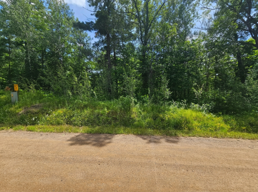 TBD Cedar Shores Drive, Deerwood, MN 56444