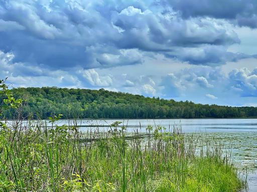 Lake view.jpg