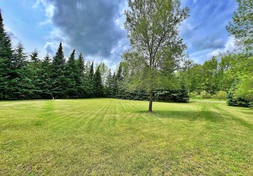Yard view privacy and nature.jpg
