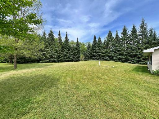 Yard view near garages.jpg