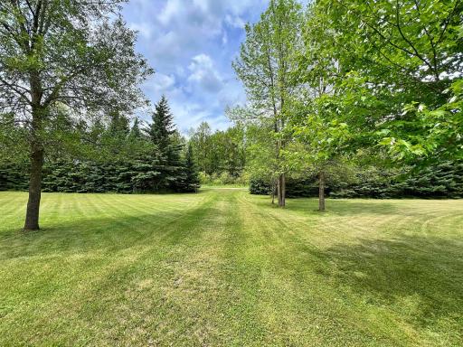 Wooded yard view.jpg
