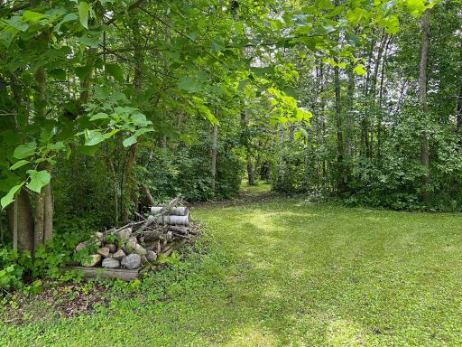 Wooded 1.5 acre lot.jpg