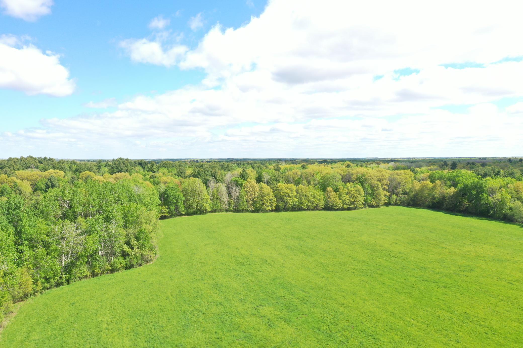 DJI_0208.JPG