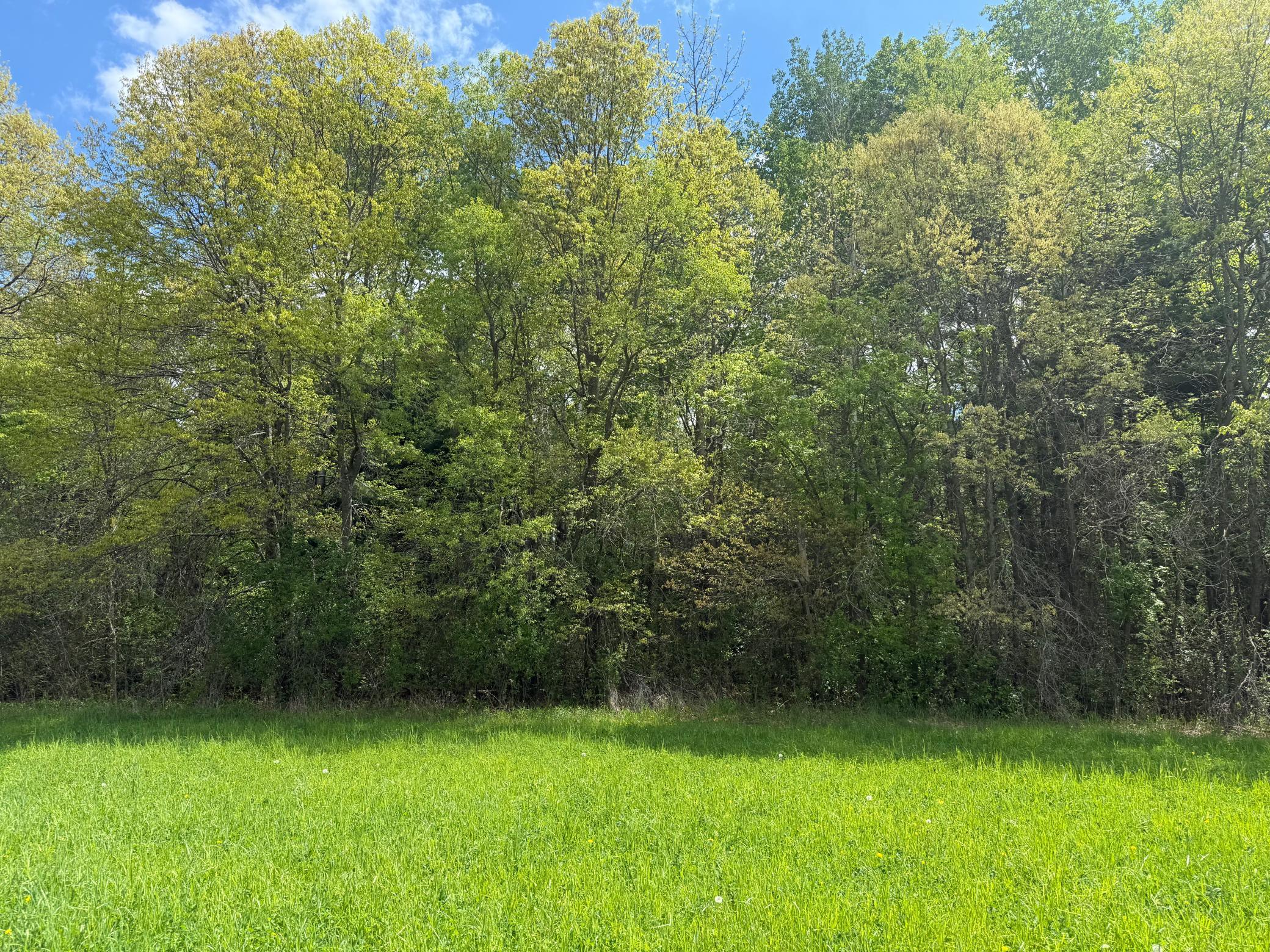 IMG_5657.jpeg