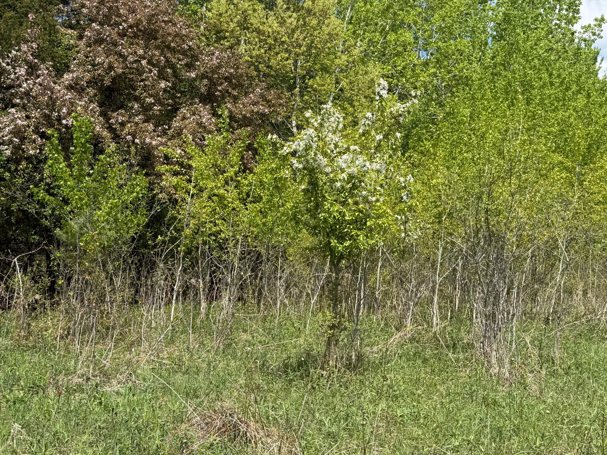 IMG_5680.jpeg