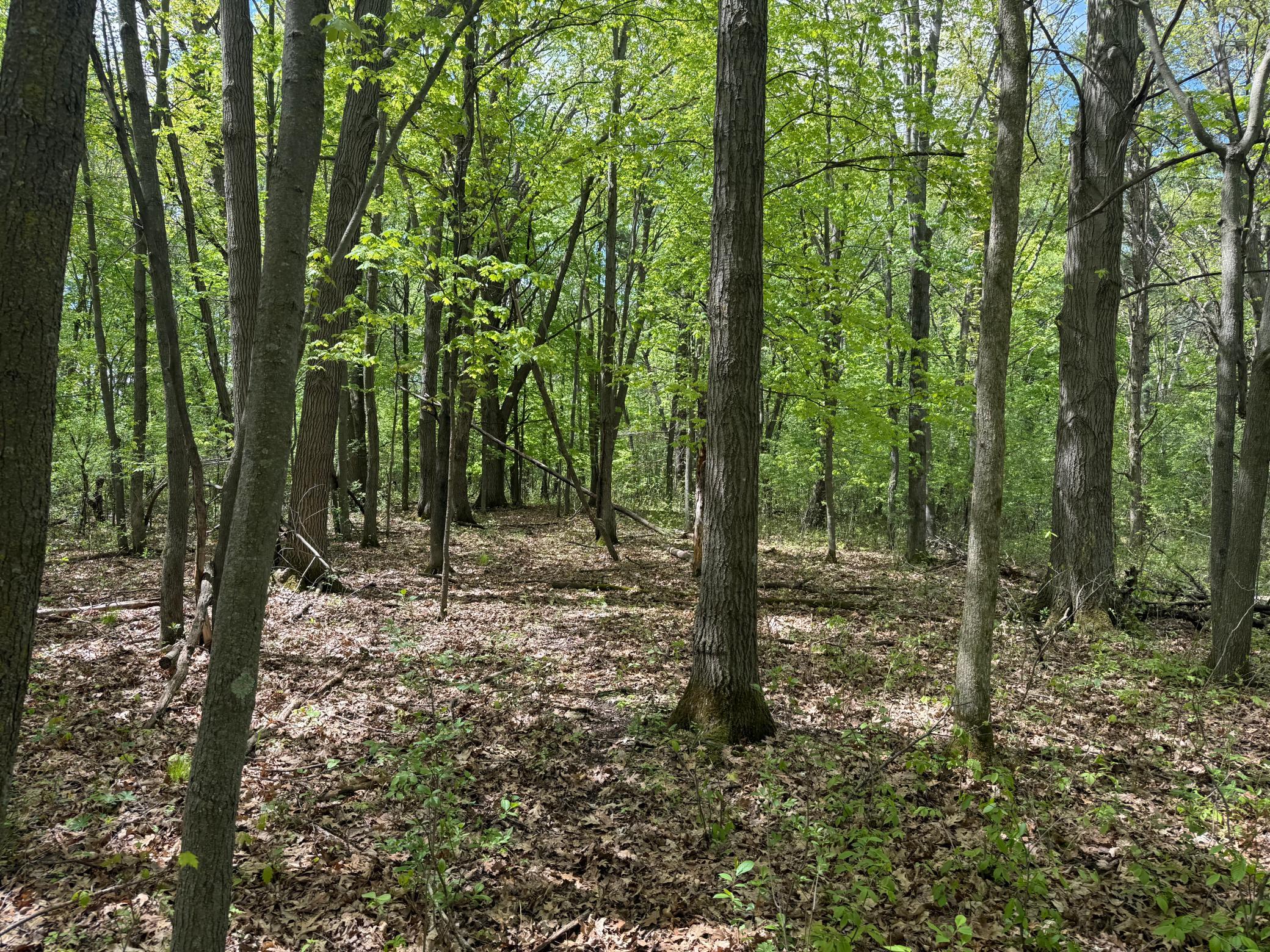 IMG_5662.jpeg