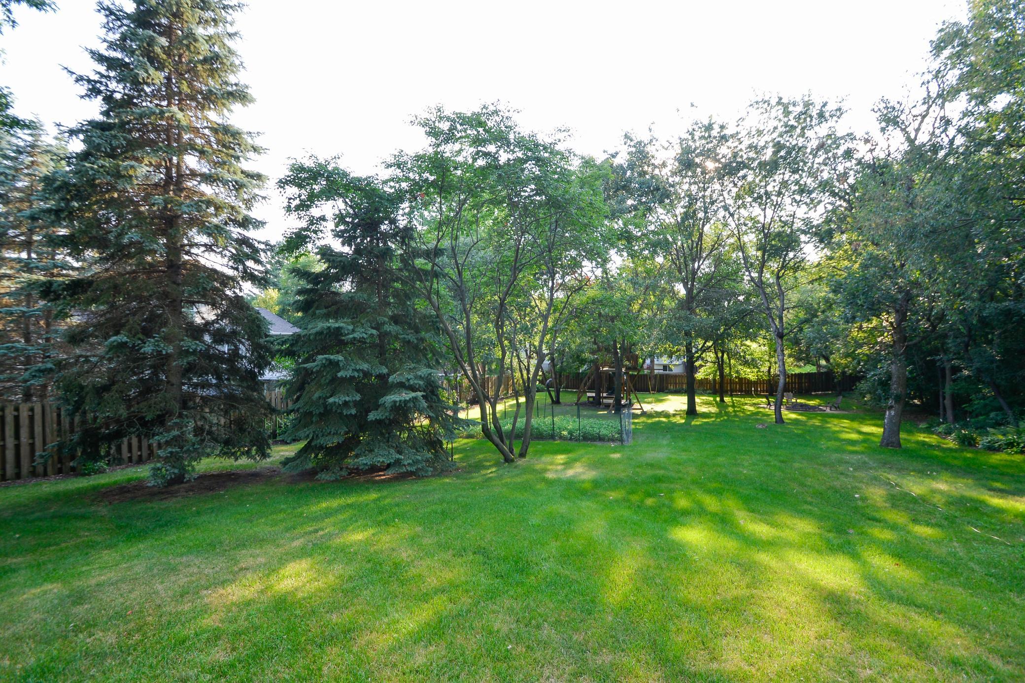 Spacious back yard