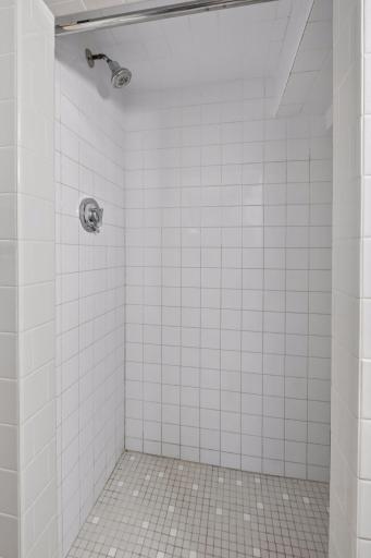 Lower level 3/4 bathroom walk-in shower