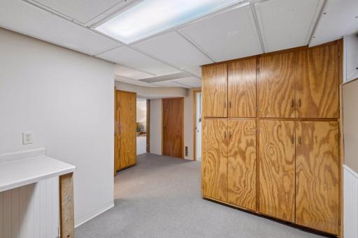 Lower level bonus room with lots of storage