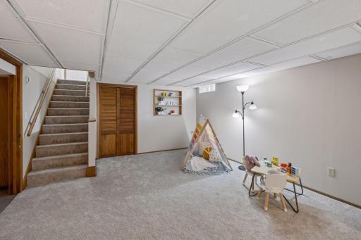 Lower level family room