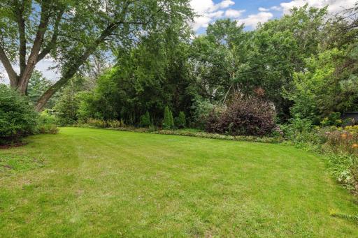 Well landscaped backyard