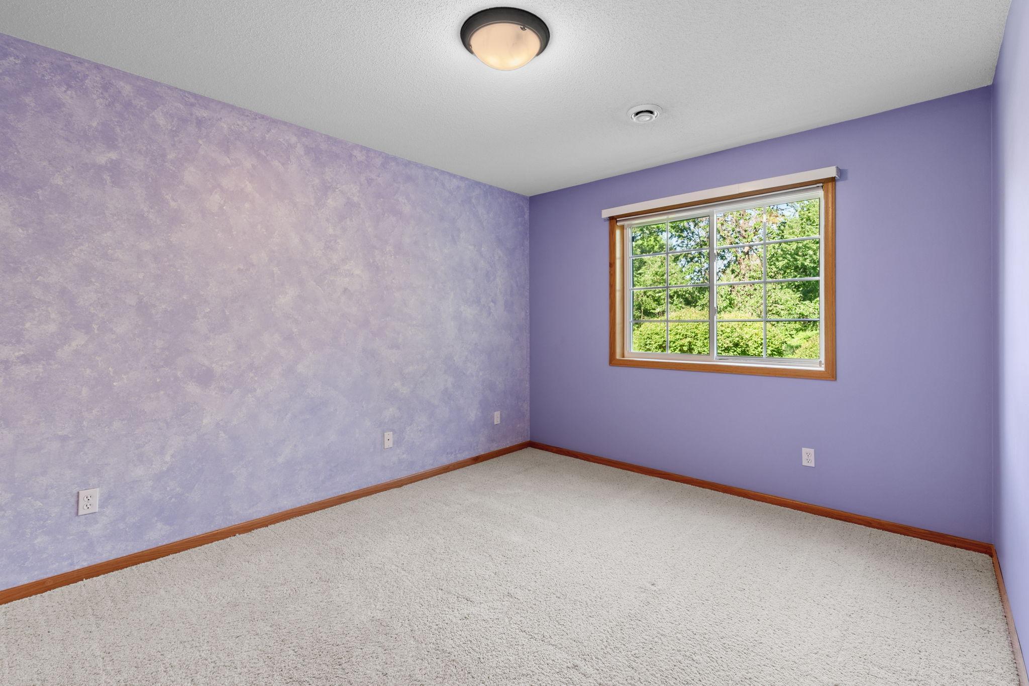 Lower level fourth Bedroom.