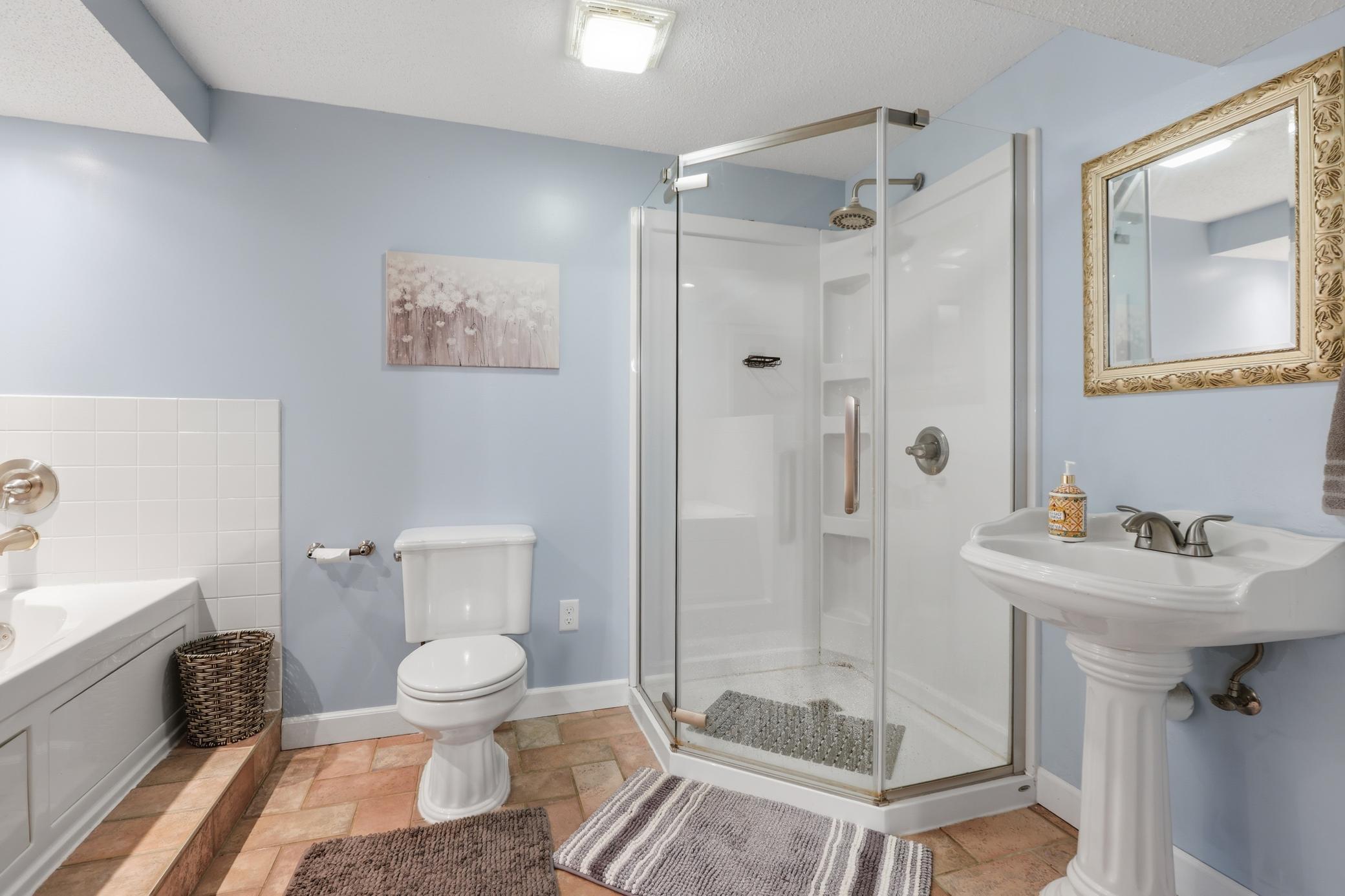 Lower Level Bathroom w/Separate Tub & Shower