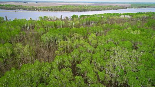 Lot 7 - TBD Driftwood Lane NW, Baudette, MN 56623