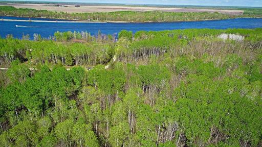 Lot 7 - TBD Driftwood Lane NW, Baudette, MN 56623