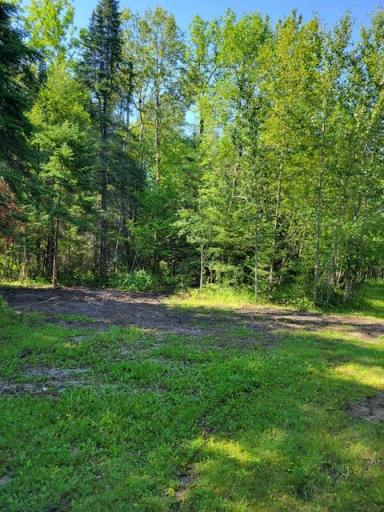 Lot 7 - TBD Driftwood Lane NW, Baudette, MN 56623