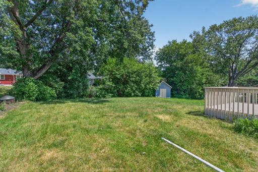 Large yard and extra storage shed