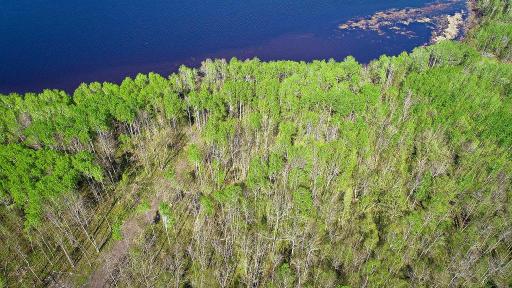 Lot 11 - TBD Driftwood Lane NW, Baudette, MN 56623