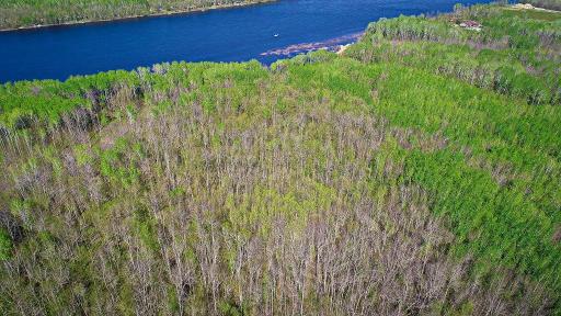 Lot 11 - TBD Driftwood Lane NW, Baudette, MN 56623