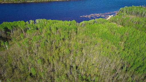 Lot 11 - TBD Driftwood Lane NW, Baudette, MN 56623