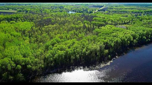Lot 11 - TBD Driftwood Lane NW, Baudette, MN 56623