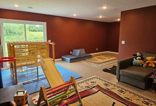 Walk out Finished Lower-level family room