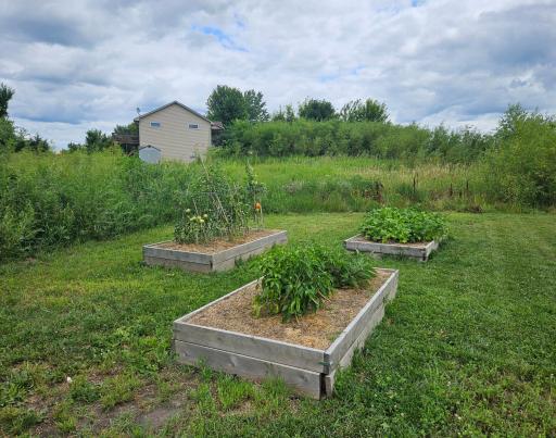 Backyard Garden planters
