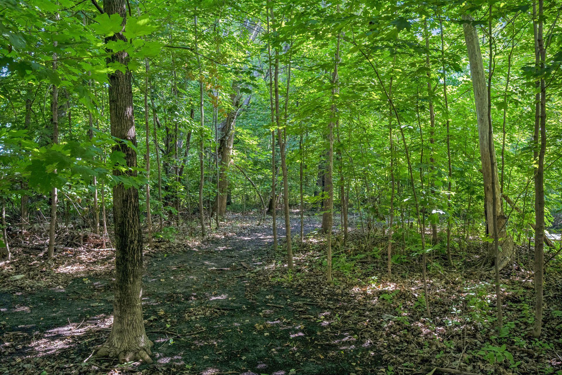 Private wooded trails are a haven for deer, turkey, and other wildlife, right in your own backyard. Archery and shotgun hunting allowed, check with local regulations.