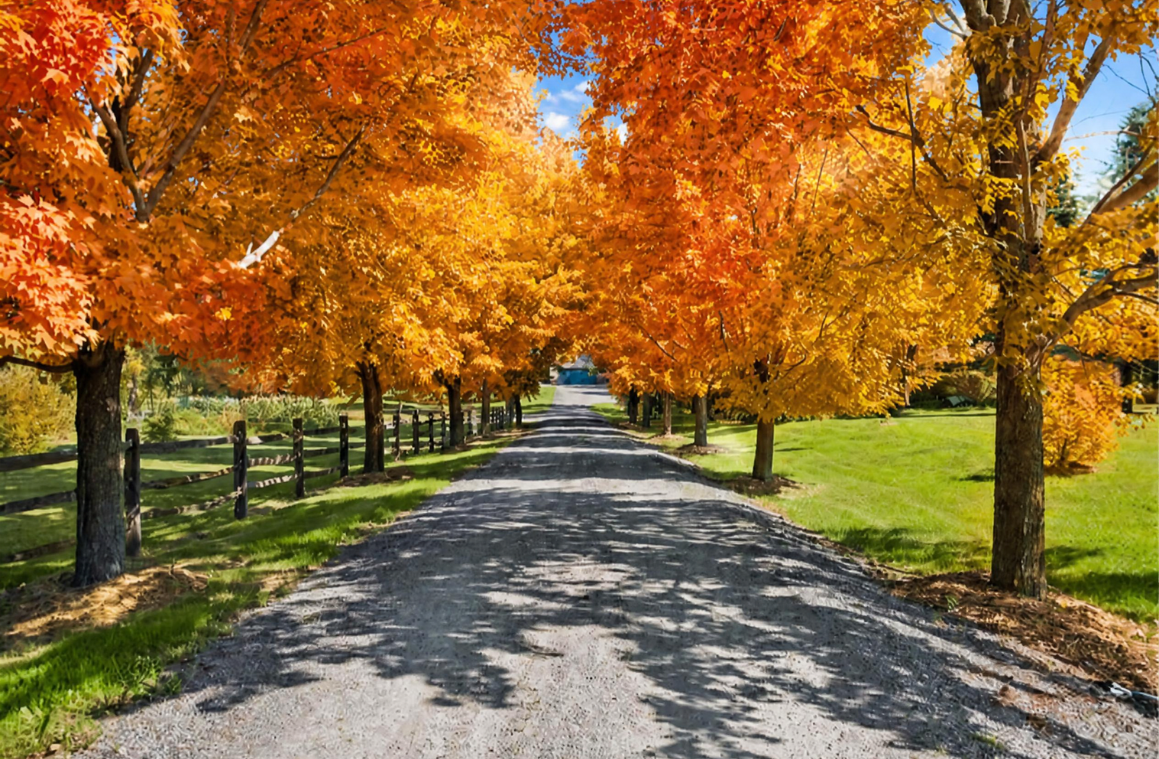 A picturesque maple-lined driveway welcomes you home, with mature trees creating a beautiful sense of privacy and stunning fall color. Enjoy the changing seasons and peaceful beauty of this exceptional 4.69-acre setting.