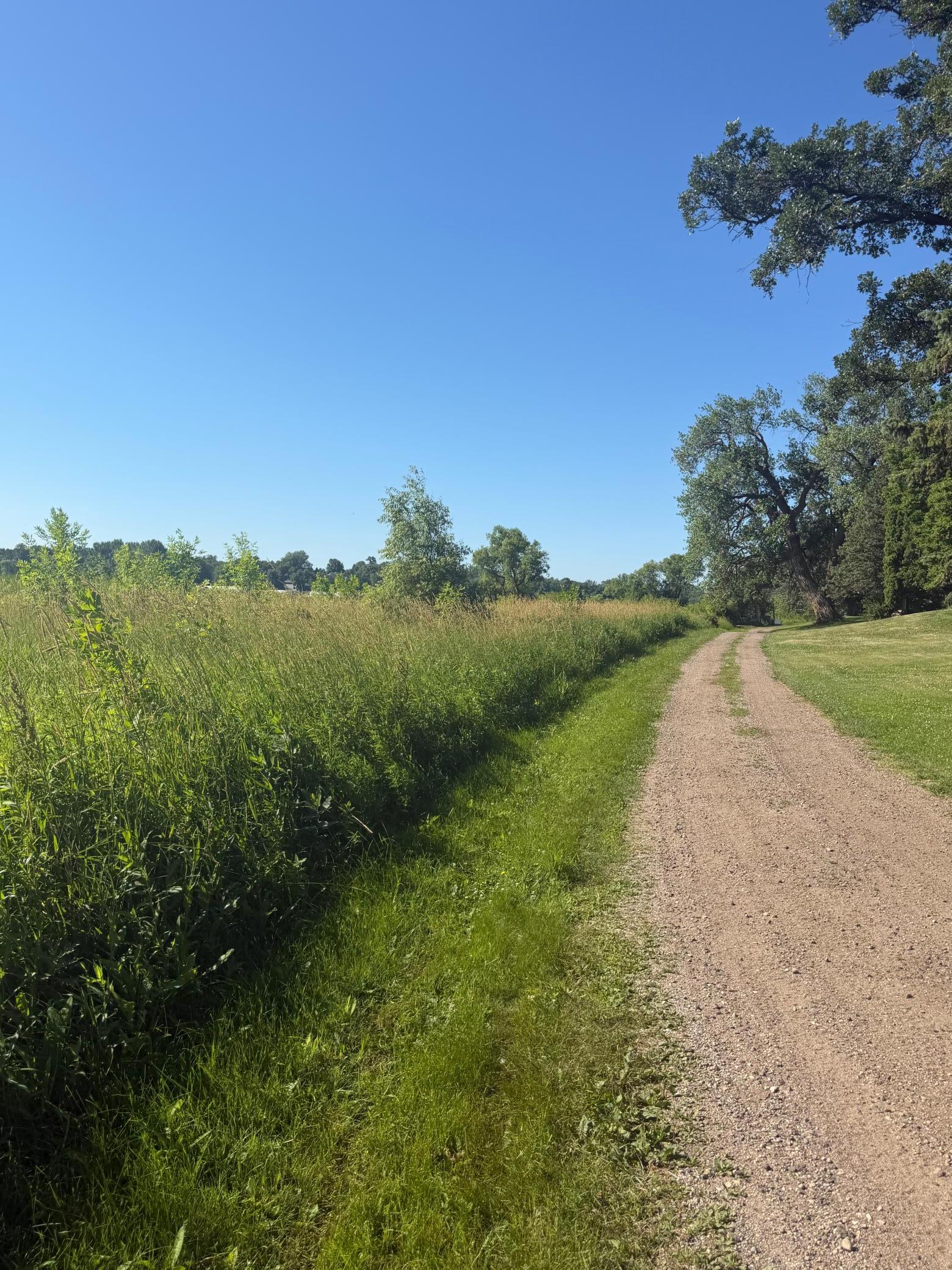 Walking Path to Dock