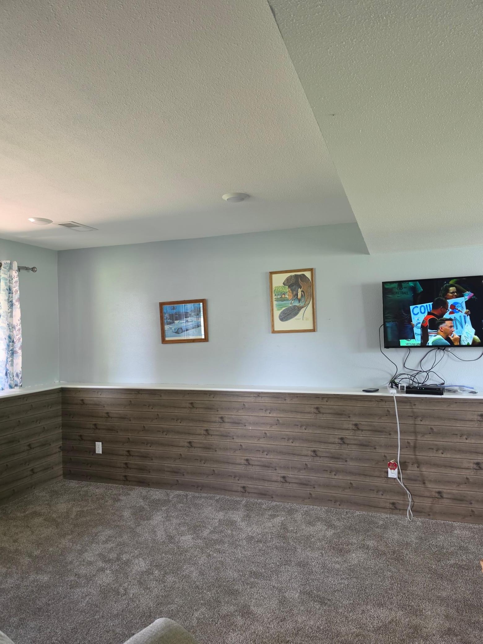 Lower level family room
