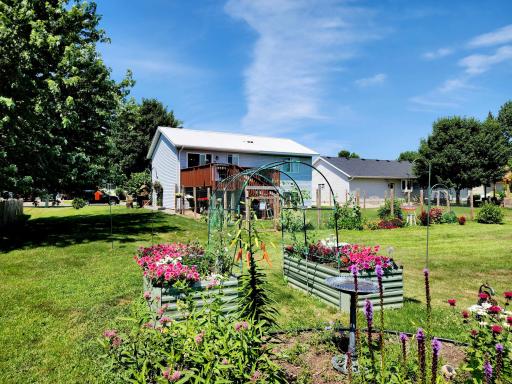 Backyard 2.jpg