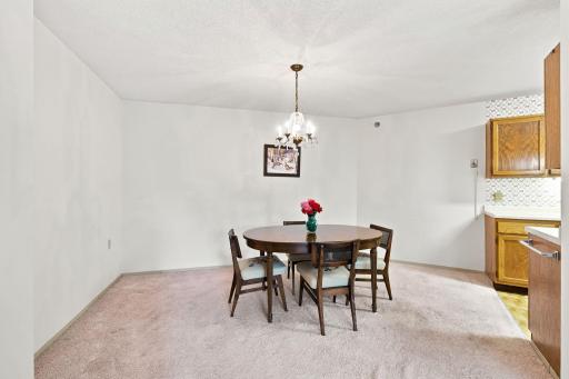 6615 Lake Shore Drive S, 405, Minneapolis, MN 55423