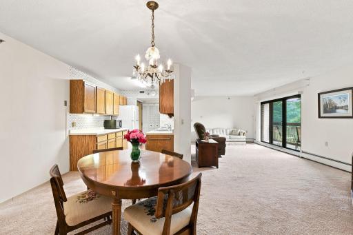 6615 Lake Shore Drive S, 405, Minneapolis, MN 55423
