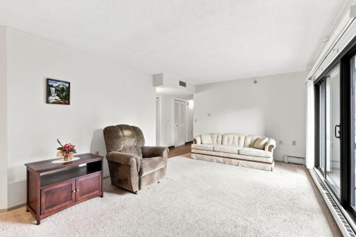 6615 Lake Shore Drive S, 405, Minneapolis, MN 55423