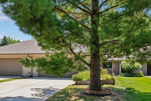 609 Meldahl Lane, Northfield, MN 55057