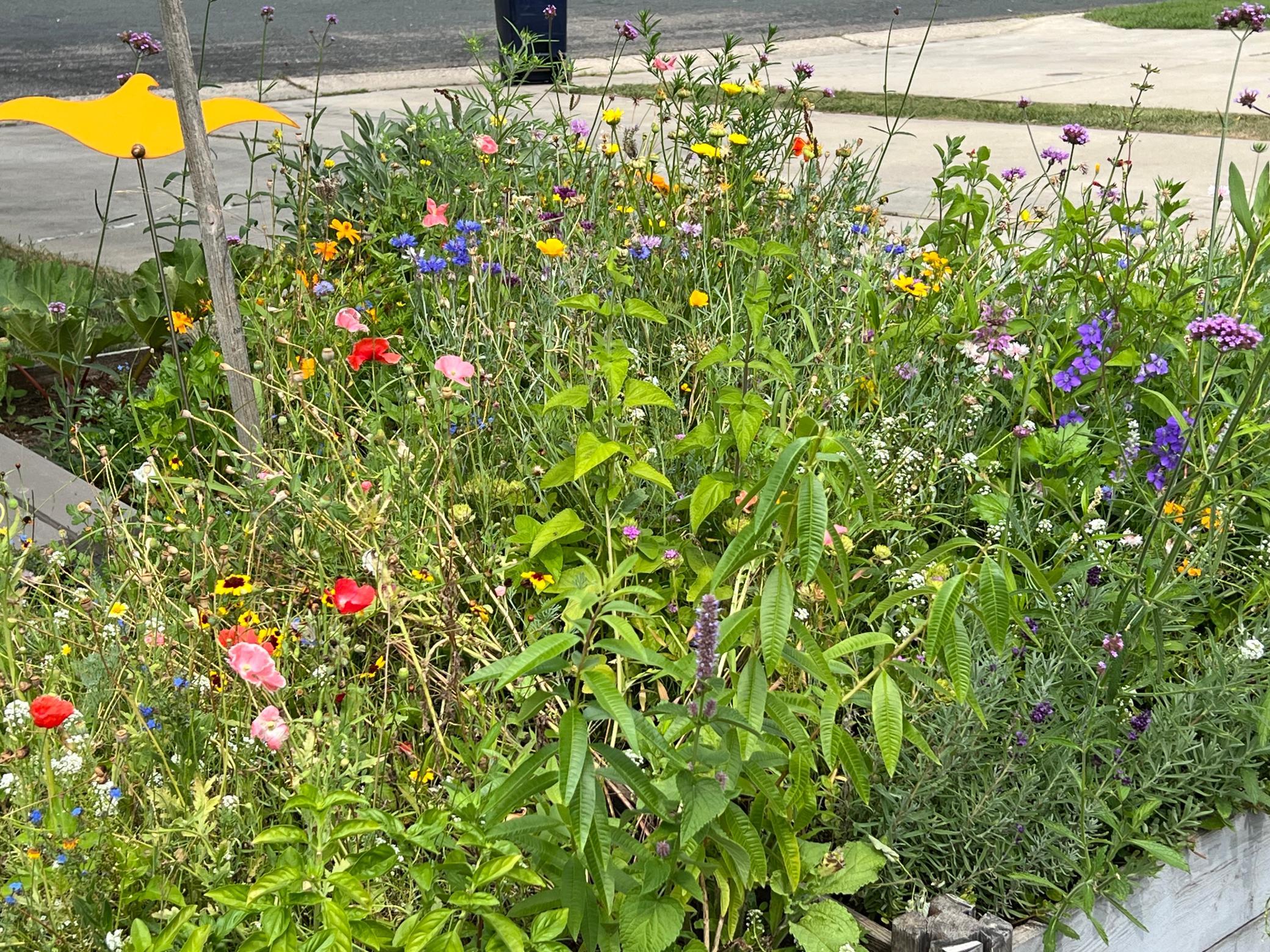 IMG_5665.jpeg