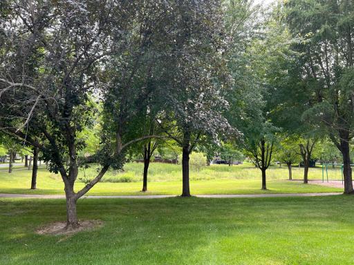 609 Meldahl Lane, Northfield, MN 55057