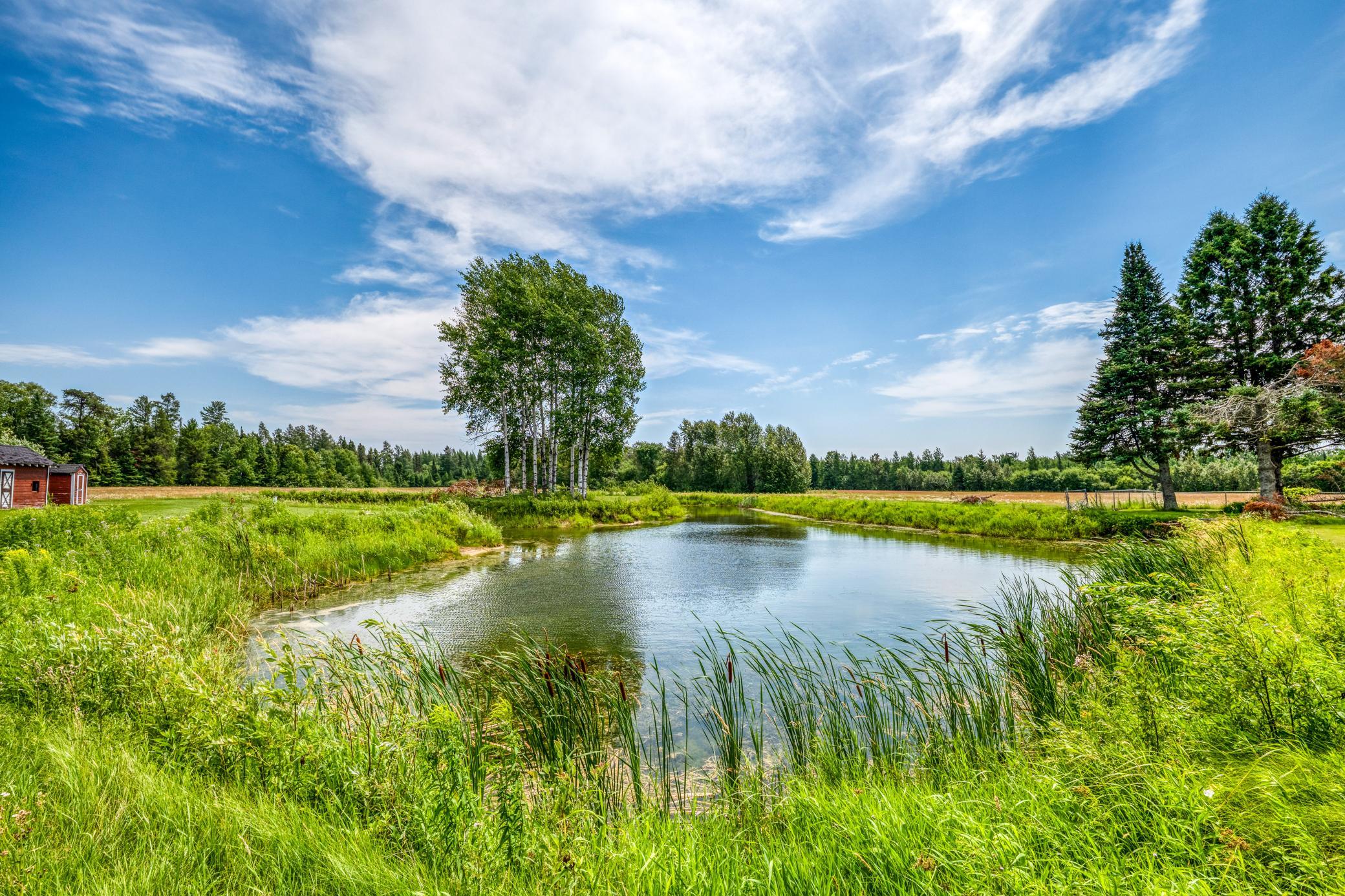 Pond